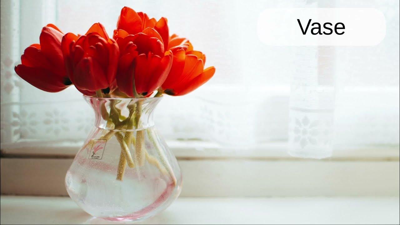 Vase Word Pronunciation Read Along (Australian Accent) Picture