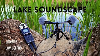 Lake Soundscape Birds and Frogs | Relaxing Sounds| Zoom H5 - LOM Usi Pro |  #ASMRnature