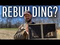 Can I Rebuild After Losing My Bees?