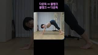 [ #마름모코어 ] 다운독에서 플랭크, 플랭크에서 다운독 자세로 전환하기