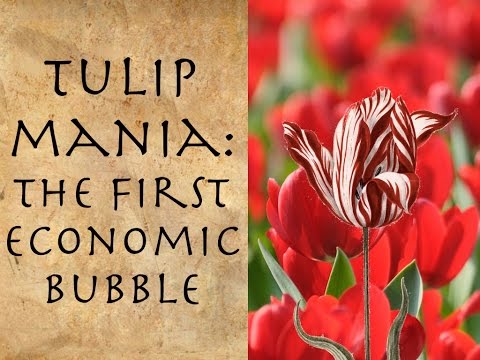 Tulip Mania: The First Economic Bubble