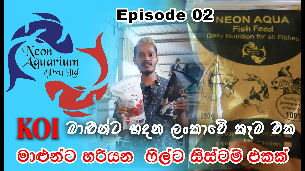 #episode2  Neon Aquarium | කොයි මාළුන්ට හදන ලංකාවේ කෑම එක | 2025 | @AquariumTalkSrilanka