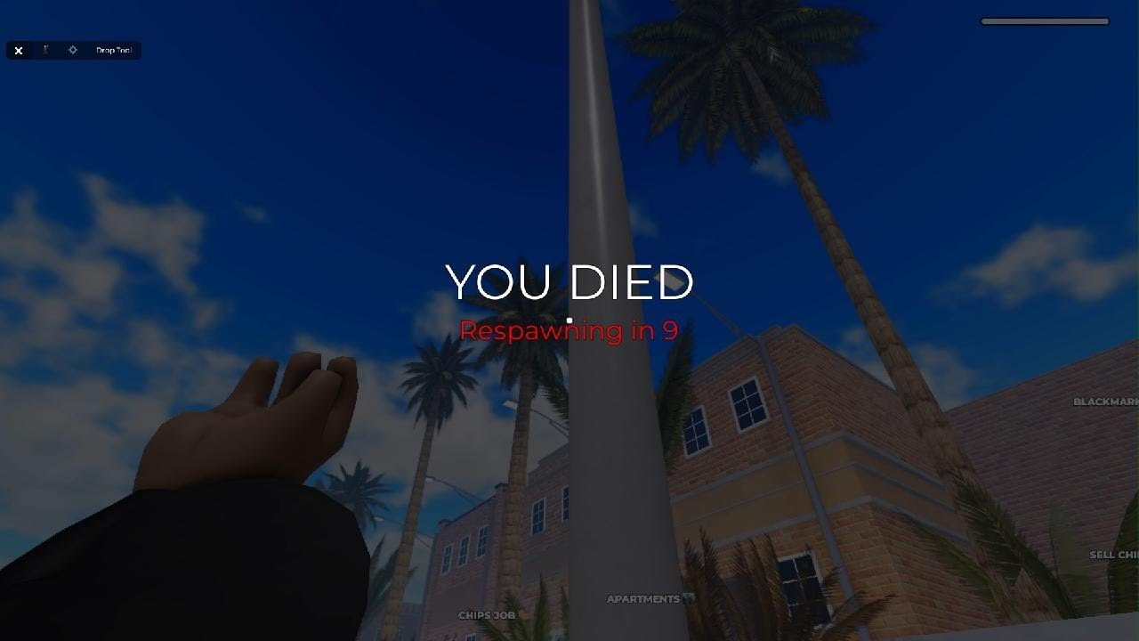 Catching hats in Roblox.