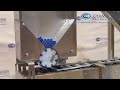Vertical Labelling Machine
