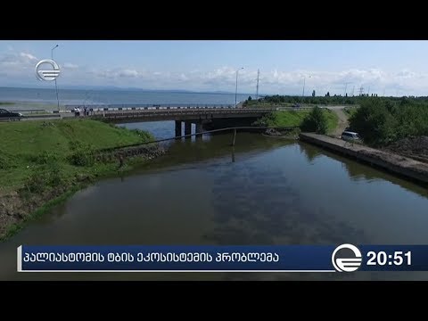 პალიასტომის ტბის ეკოსისტემის პრობლემა