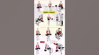 The Ultimate Bicep Workout Guide (Charts Included)