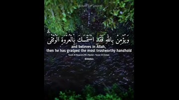 ياسر الزيلعي | تلاوة خاشعة | ﴿لا إِكراهَ فِي الدّينِ قَد تَبَيَّنَ الرُّشدُ مِنَ الغَيِّ ...🥀