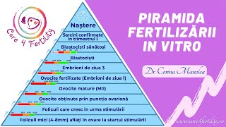 Piramida Fertilizării In Vitro