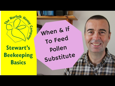 when-&-if-to-feed-pollen-substitute---#beekeeping-basics---the-norfolk-honey-co.