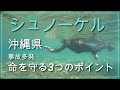 水難事故多発?!シュノーケルの際の3つの注意点!命を守る対策、道具!