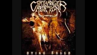 Coathanger Abortion - Slowly Rotting Away