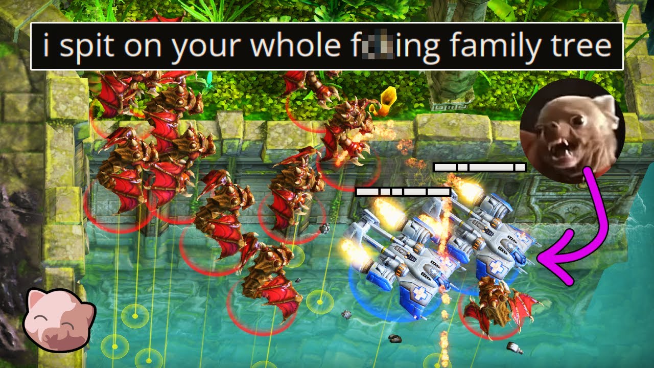 This whiny Terran is just an ANGRY YAPPING LITTLE DOG | Salt Mines #28 - StarCraft 2