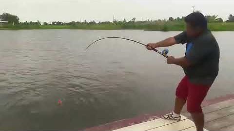 Test Cần Ryoko October - Thương hiệu số 1 đến từ Thái Lan - 0909478695