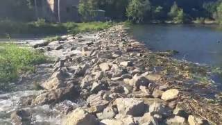 Незаконне перегородження річи Збруч біля с. Бережанка Борщівського р-н