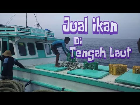 Video: Cara Membeli Kapal Nelayan Kembung