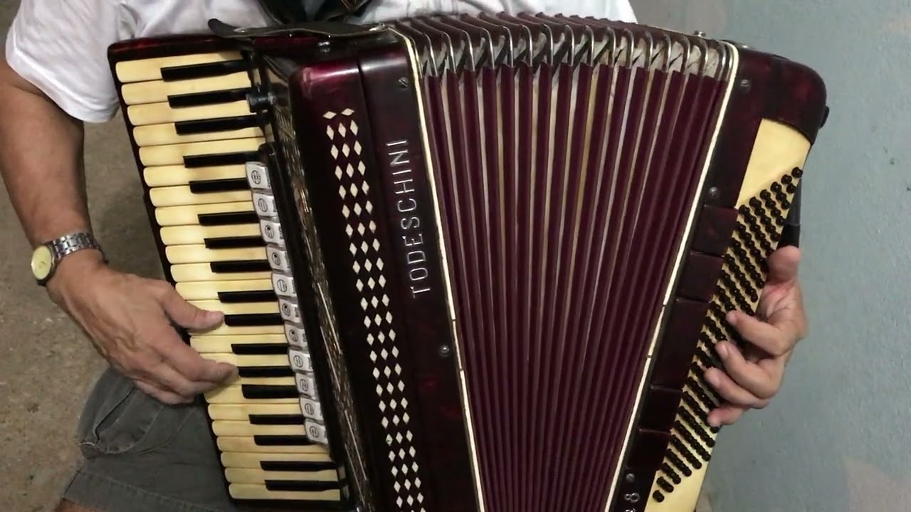 videos caseiros Jorginho na sanfona