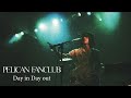 PELICAN FANCLUB 『Day in Day out』Music Video - LIVE &quot;NEW TYPE&quot; 2020.11.7 -