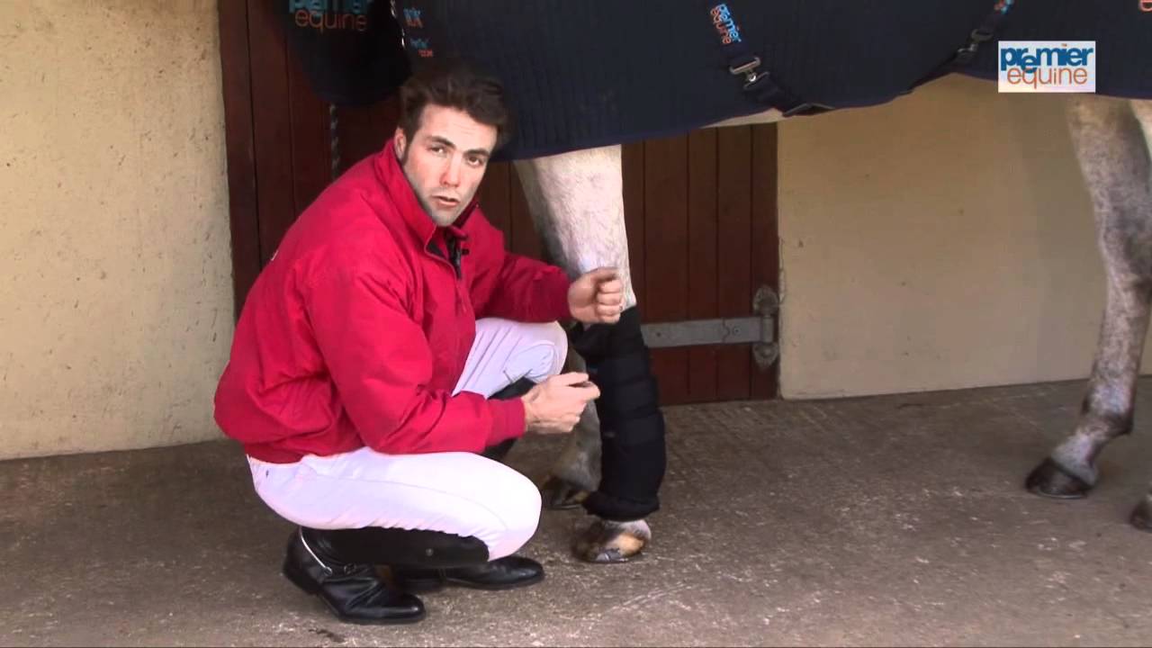 premier equine stable boot wraps