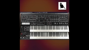 Halloween-inspired "Carpenter Soundscapes" improv on Cherry Audio P-10