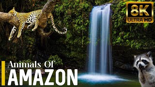 Amazon Jungle 8K ULTRA HD | Wild Animals of Amazon Rainforest | Nature Forest