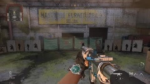 Call of Duty®: Modern Warfare® Field Of View ( FOV ) 80 to 90 change with died silence PS4