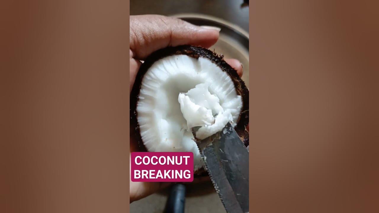 Coconut Breaking 🥥 🙇 Dry Coconut Breaking and Scooping viral shorts YouTube