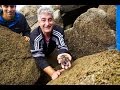 Harvesting Percebes on the Rocky Coastline of Galicia | The Recipe Hunters in Galicia, Spain