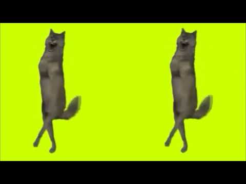 волк танцует     the wolf dances