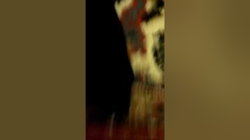 دعاء الختمه للقارئ محمد النقيدان ليلة 29