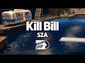 SZA - Kill Bill (Visualizer)