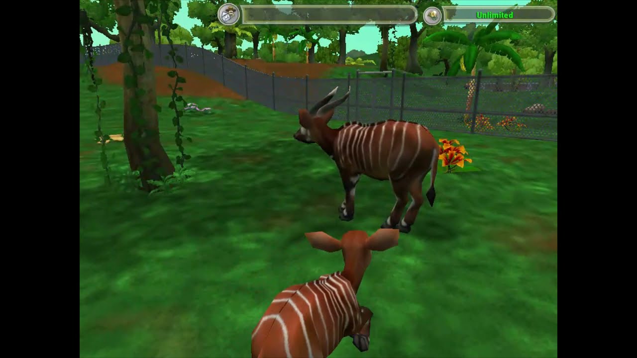 Zoo Tycoon 2 African Adventure Bongo Gameplay Bonus Baby Animal Birth