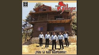 Video thumbnail of "Grupo Galope - El Cuartazo"