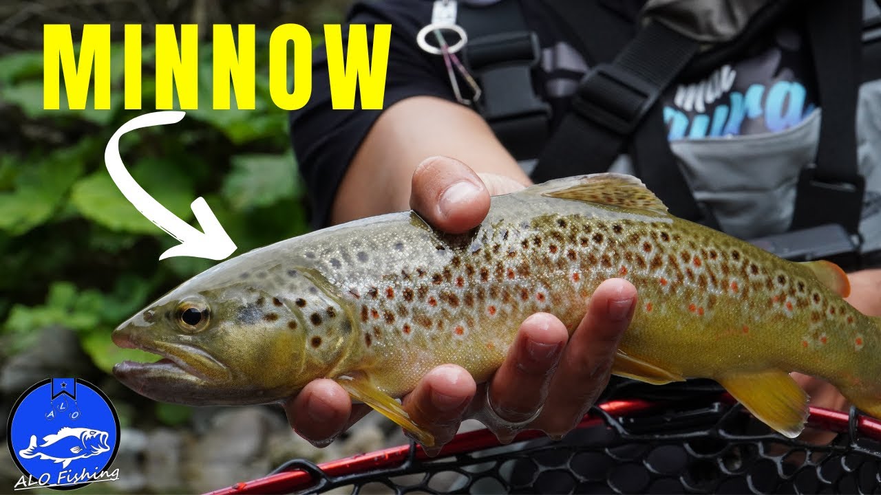 MINNOW ARTIFICIALE DA SPINNING 7,5Cm SUSPENDING PER TROTA SPIGOLA - Foto 7