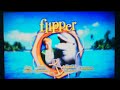 Opening To Flipper 2004 DVD (2007-Reprint)