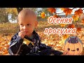 VLOG: Осенняя прогулка с малышом//Флешмоб//Заработок мамы в декрете