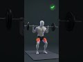 Correct Position Leg Workout Shorts Vrials Fitness Motivation Correct Position Leg Workout Shorts Vrials Fitness Motivation