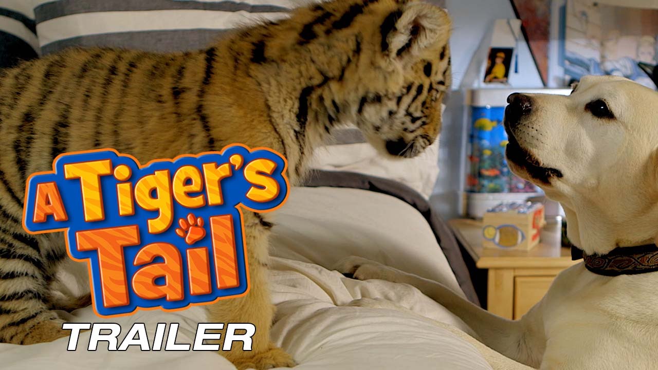 A Tiger's Tail - Trailer family friendly resorts