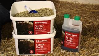 senior horse - sac - hilton herbs vidéo