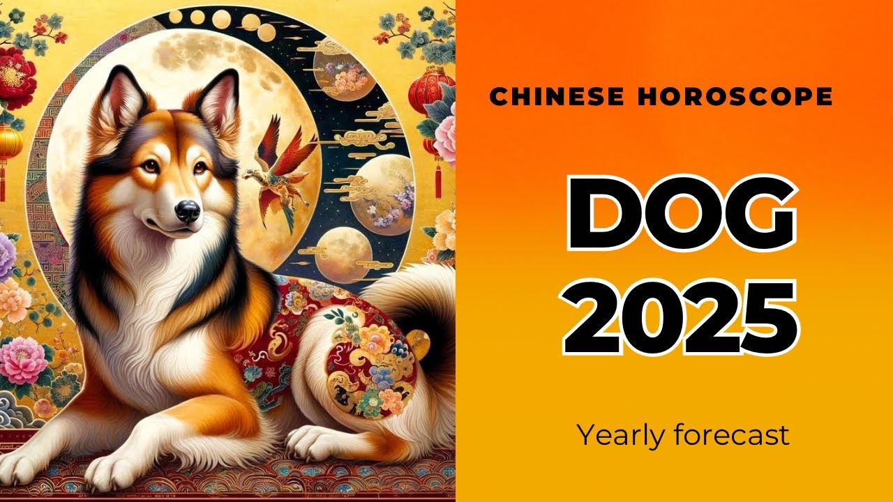 Dog 2025 Horoscope Yearly Predictions YouTube