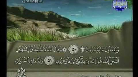 سورة النحل بصوت القارئ الشيخ فارس عباد ‏Surat AnNahl Fares Abbad