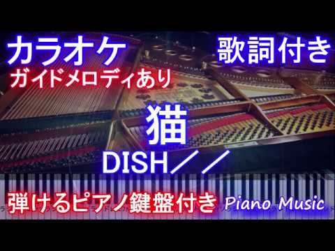 カラオケ 猫 Dish ガイドあり 歌詞付き フル Full 一本指 ピアノ 鍵盤 ハモリ付き Youtube