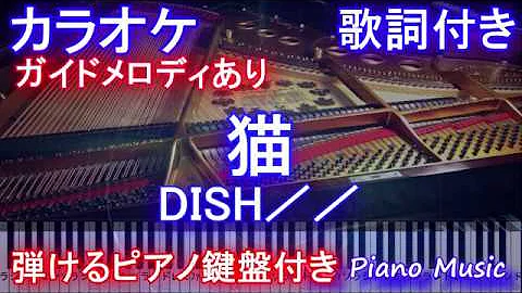 猫 Dish フル تحميل Download Mp4 Mp3