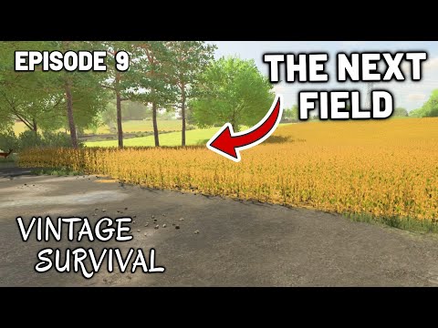 Working To Buy The Next Field! - Vintage Survival | Episode 9