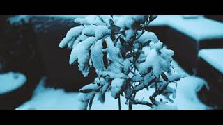 1 April Sneeuw Cinematic Heiloo