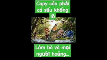 capybara câu phải con cá sấu và cái kết... #funny #football
