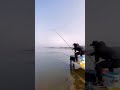 I caught a big carp fish🐟 Best fishing video🎣 Amazing fishing #shorts