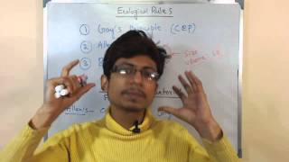 Bergmanns Rule And Allens Rule