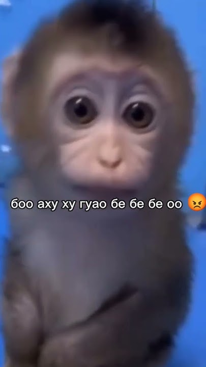 агу агу гугуага ? 🥵 - YouTube