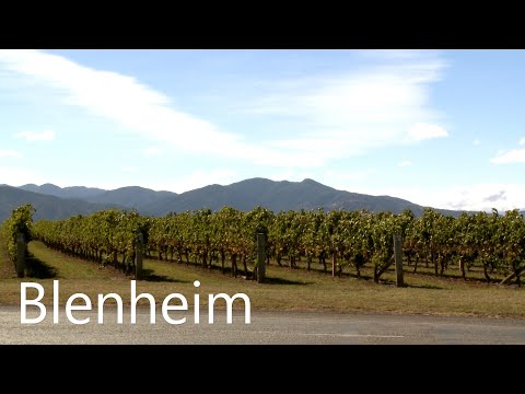 Video: Top-Aktivitäten in Blenheim, Neuseeland