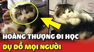 Hoàng Thượng ĐI HỌC CÙNG SEN đã DỤ DỖ thành công cô giáo và các bạn cùng lớp  | Yêu Lu